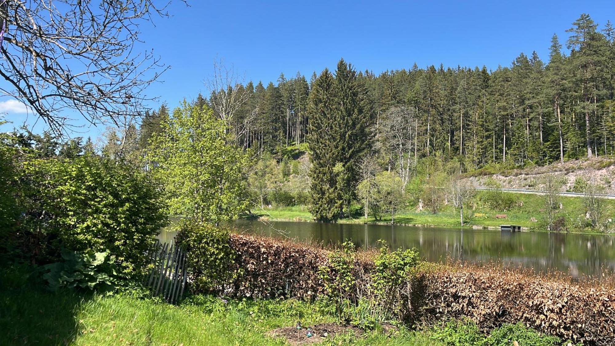 Haus Am See - Natur Pur Friedenweiler Eksteriør billede