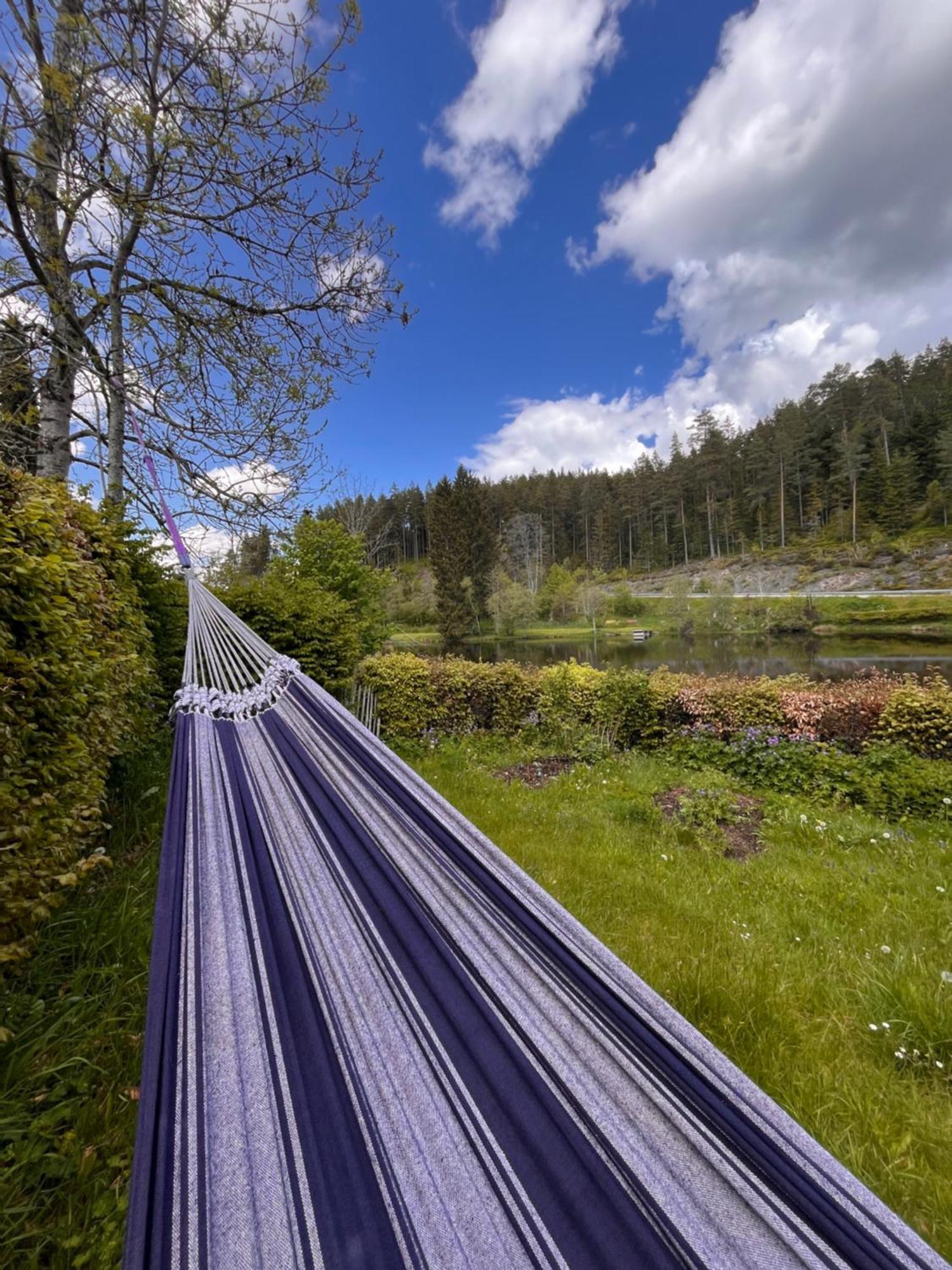 Haus Am See - Natur Pur Friedenweiler Eksteriør billede