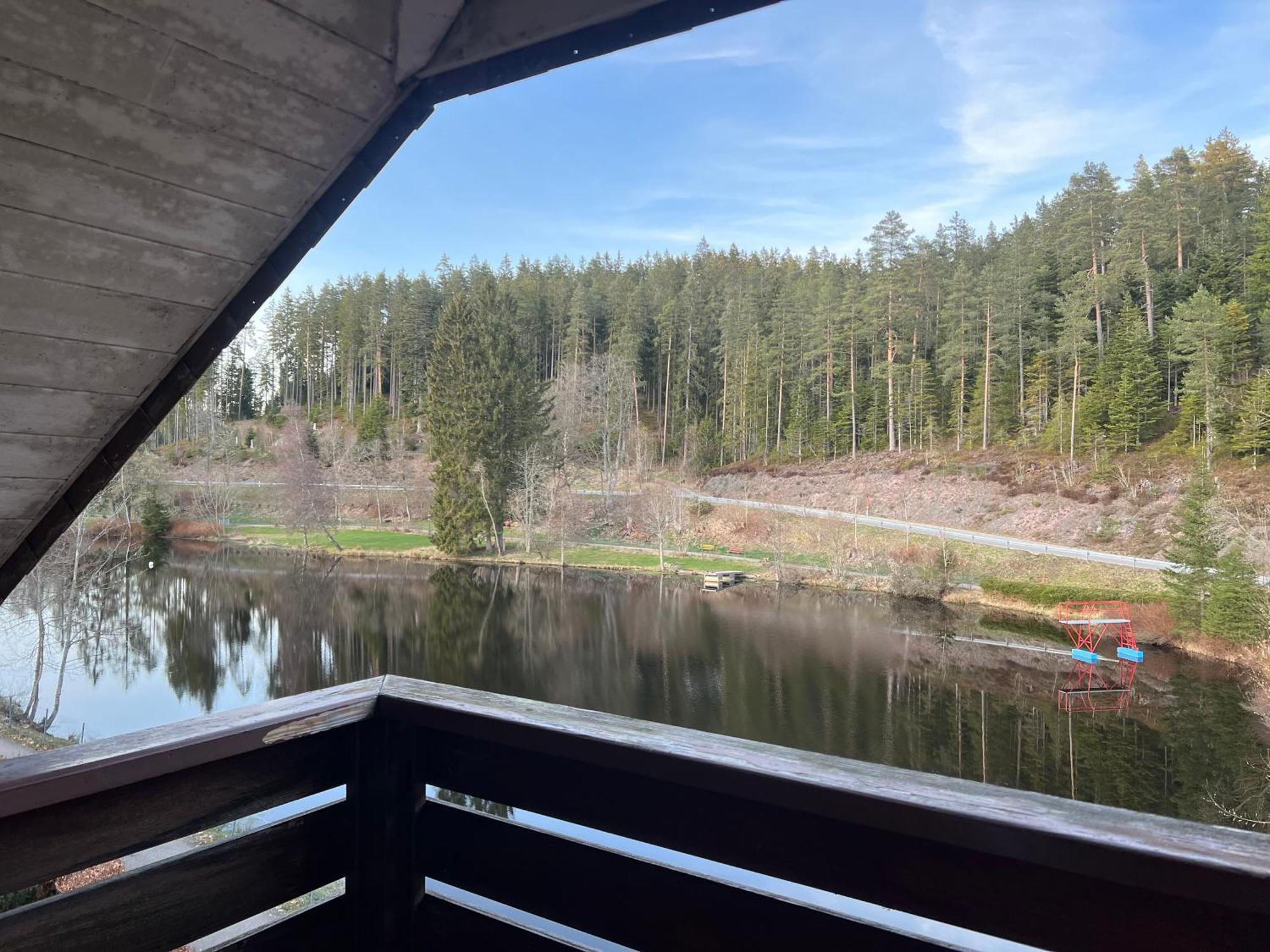Haus Am See - Natur Pur Friedenweiler Eksteriør billede