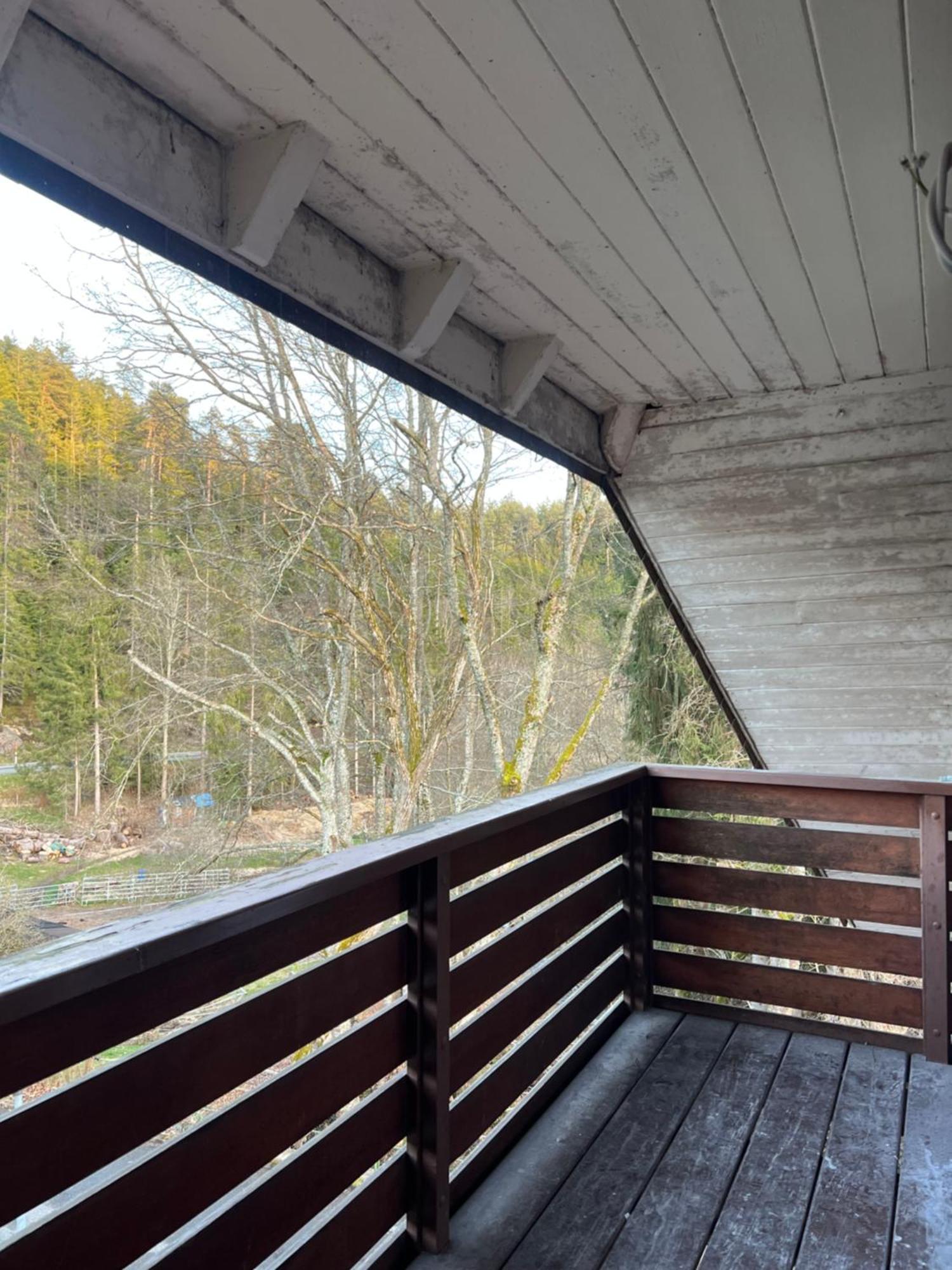 Haus Am See - Natur Pur Friedenweiler Eksteriør billede