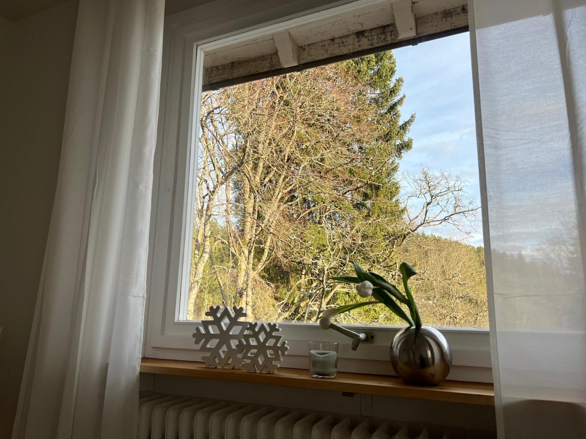 Haus Am See - Natur Pur Friedenweiler Eksteriør billede