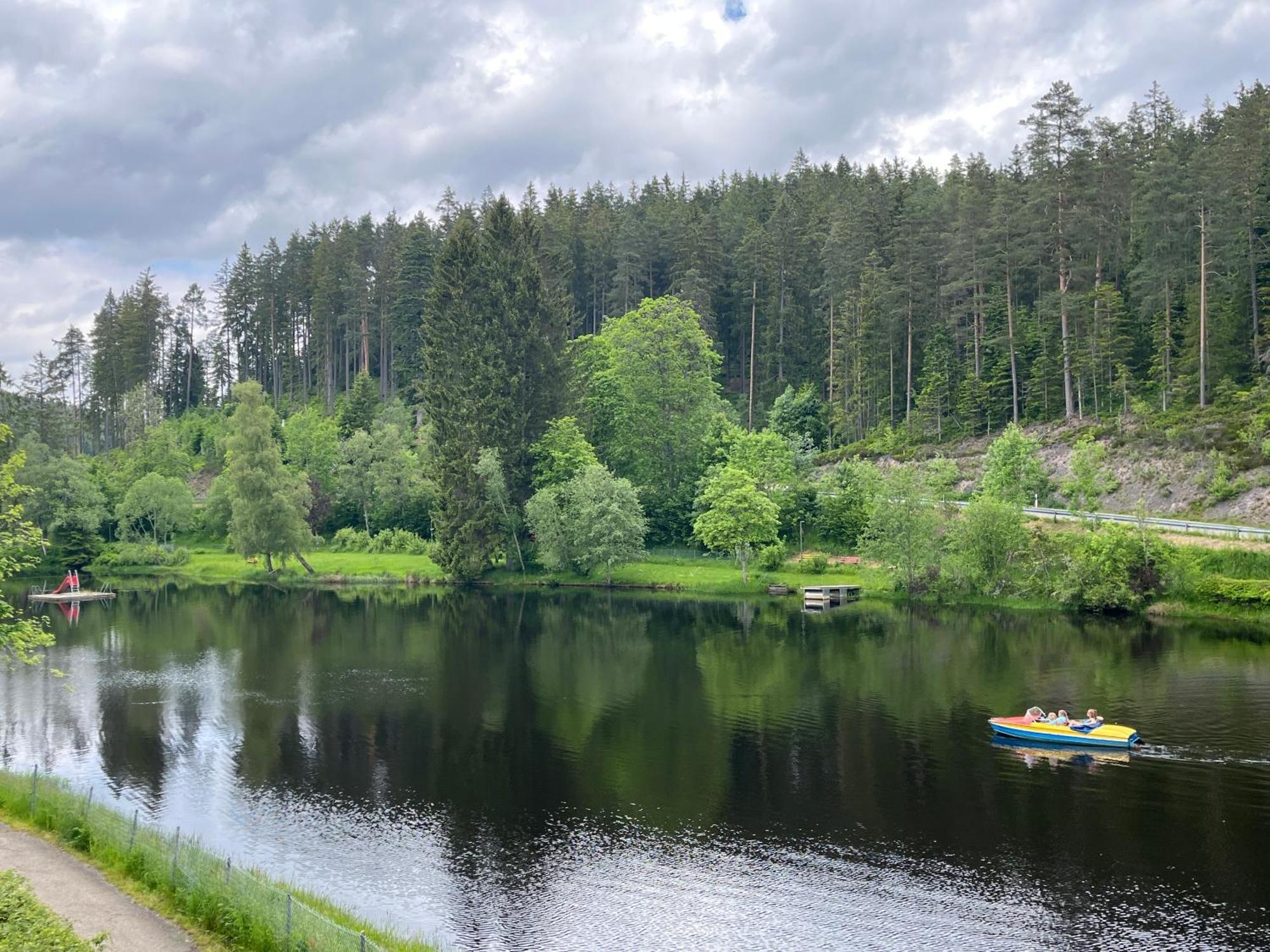 Haus Am See - Natur Pur Friedenweiler Eksteriør billede