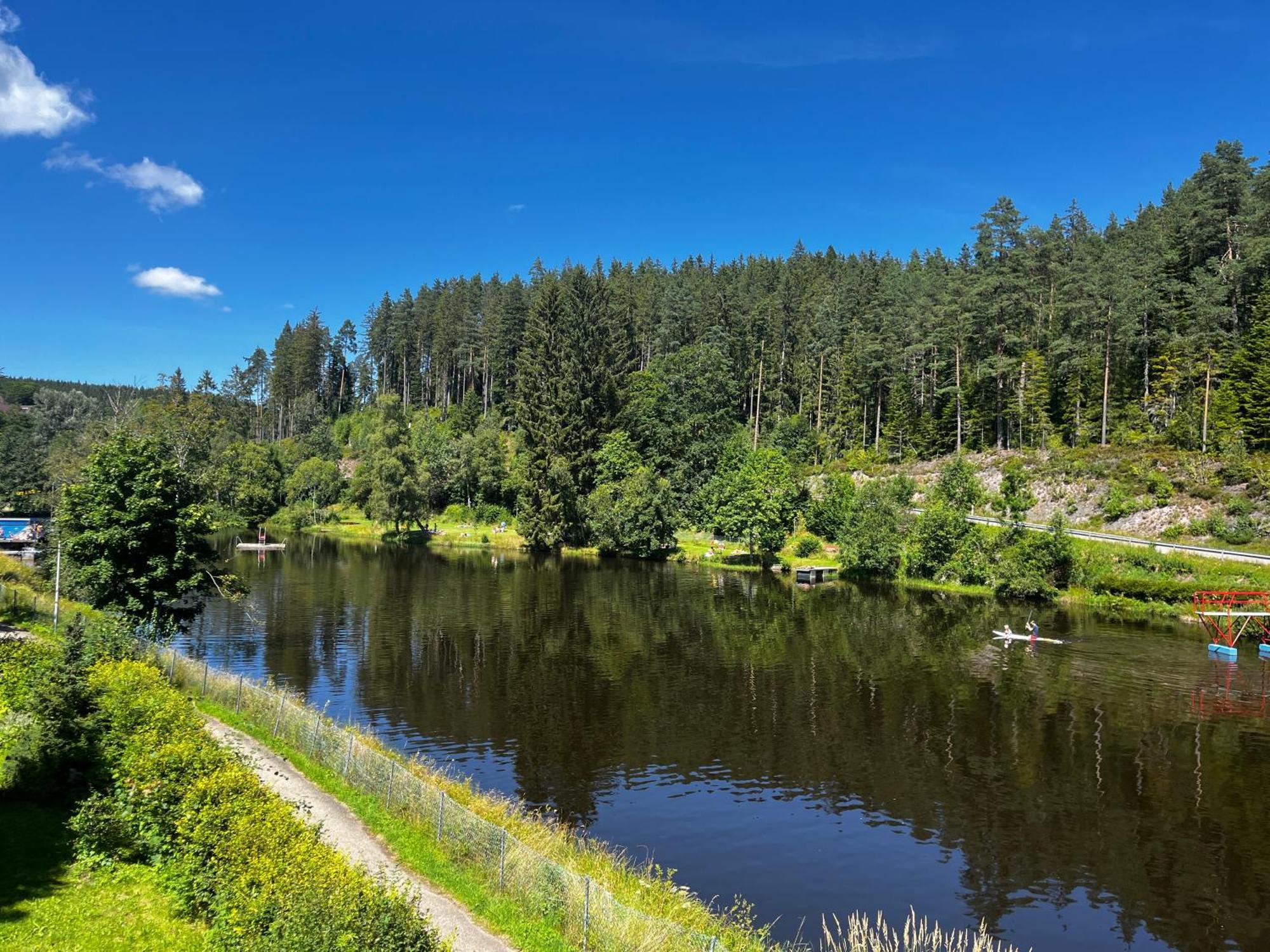 Haus Am See - Natur Pur Friedenweiler Eksteriør billede