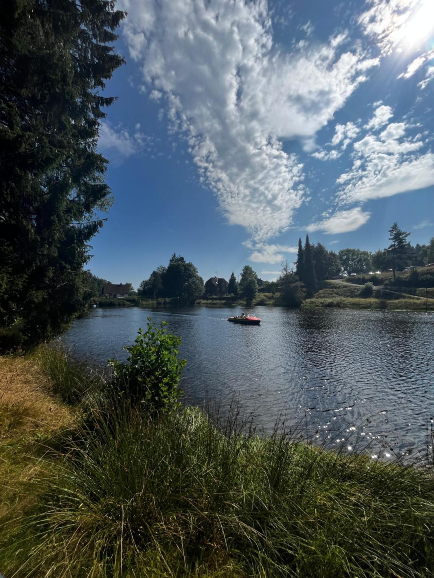 Haus Am See - Natur Pur Friedenweiler Eksteriør billede