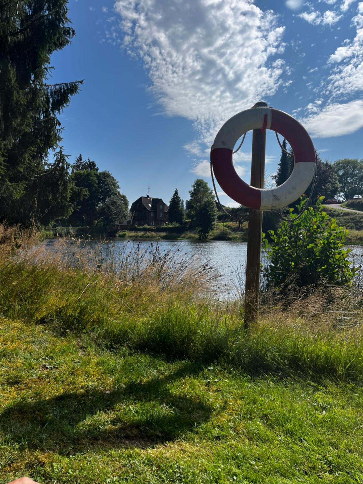 Haus Am See - Natur Pur Friedenweiler Eksteriør billede