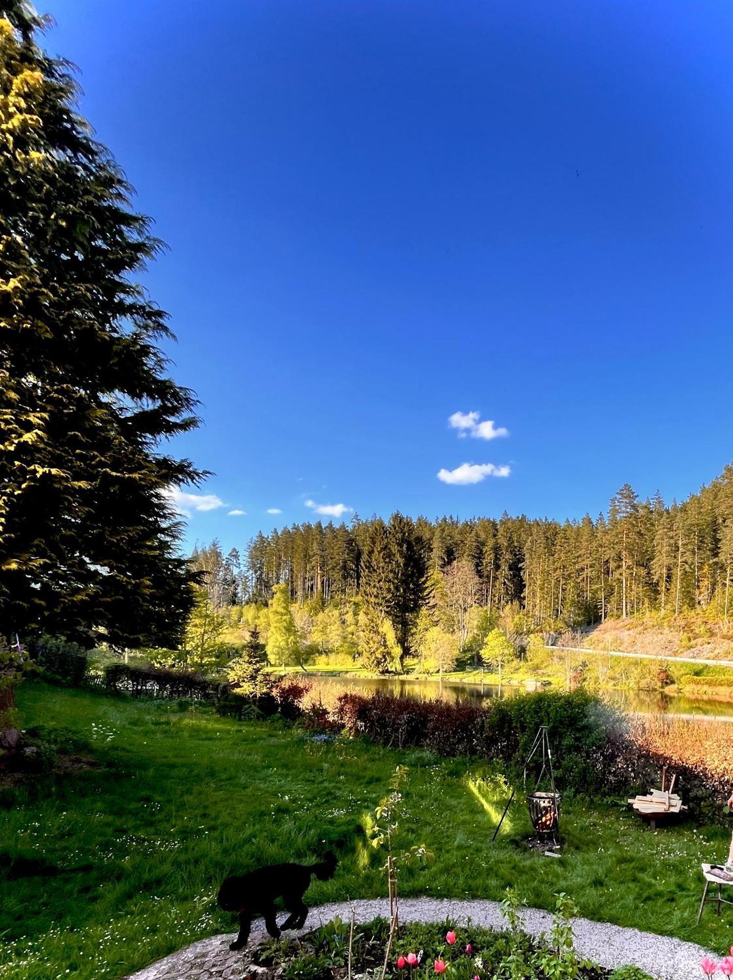 Haus Am See - Natur Pur Friedenweiler Eksteriør billede
